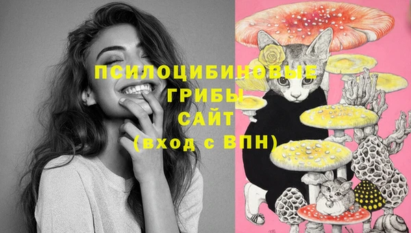 дживик Заволжск