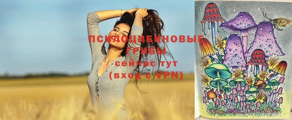 дживик Заволжск