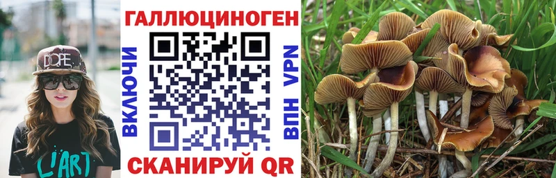 закладка  гидра вход  мориарти какой сайт  Славянск-на-Кубани  Галлюциногенные грибы Cubensis 