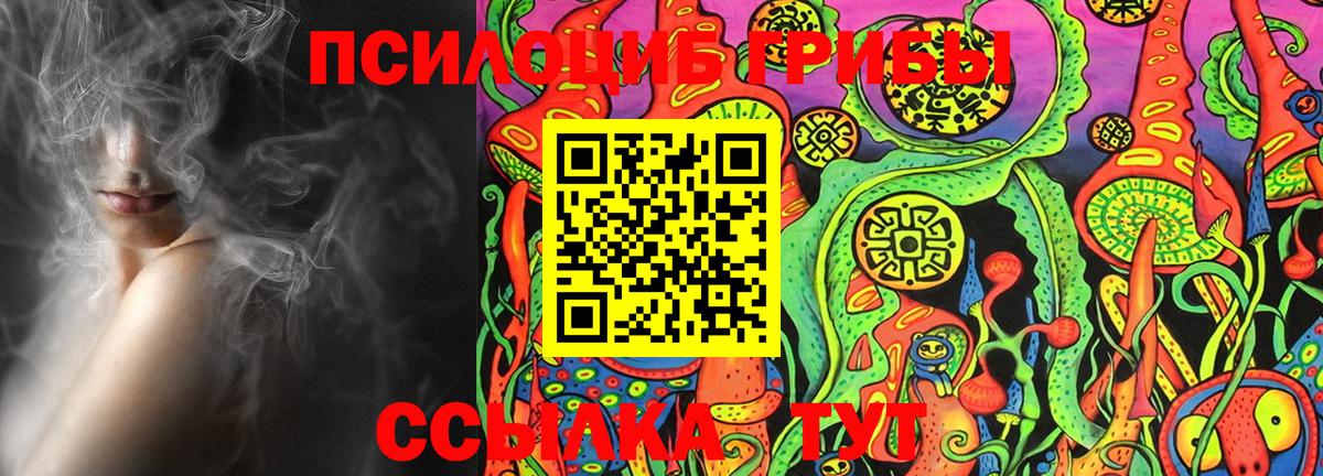 Псилоцибиновые грибы ЛСД  Псилоцибиновые грибы GOLDEN TEACHER  Славянск-на-Кубани 