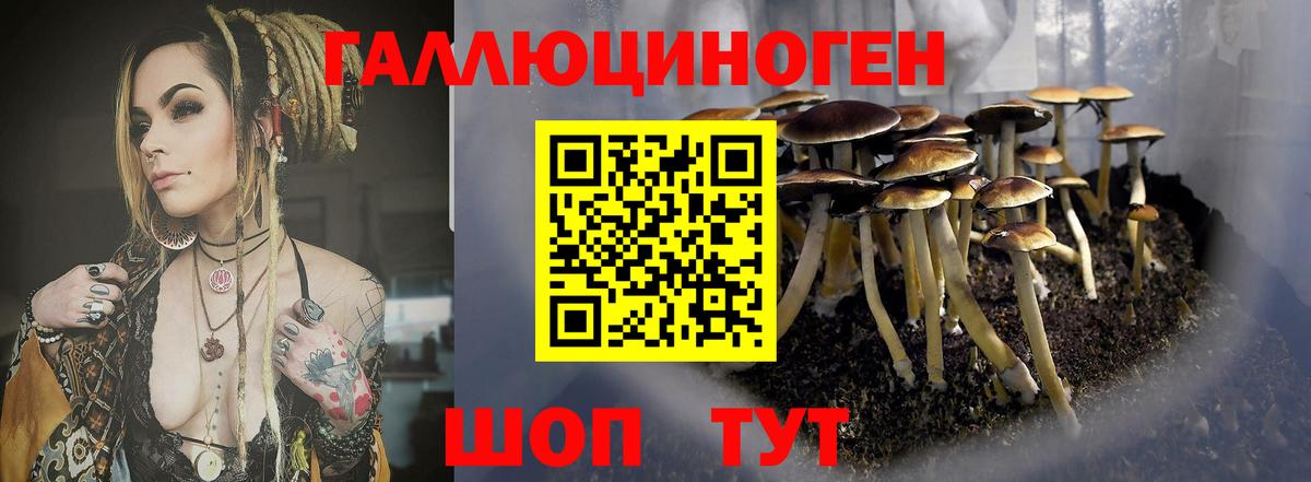 Галлюциногенные грибы ЛСД Славянск-на-Кубани