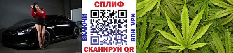 продажа наркотиков  Славянск-на-Кубани  МАРИХУАНА сатива 